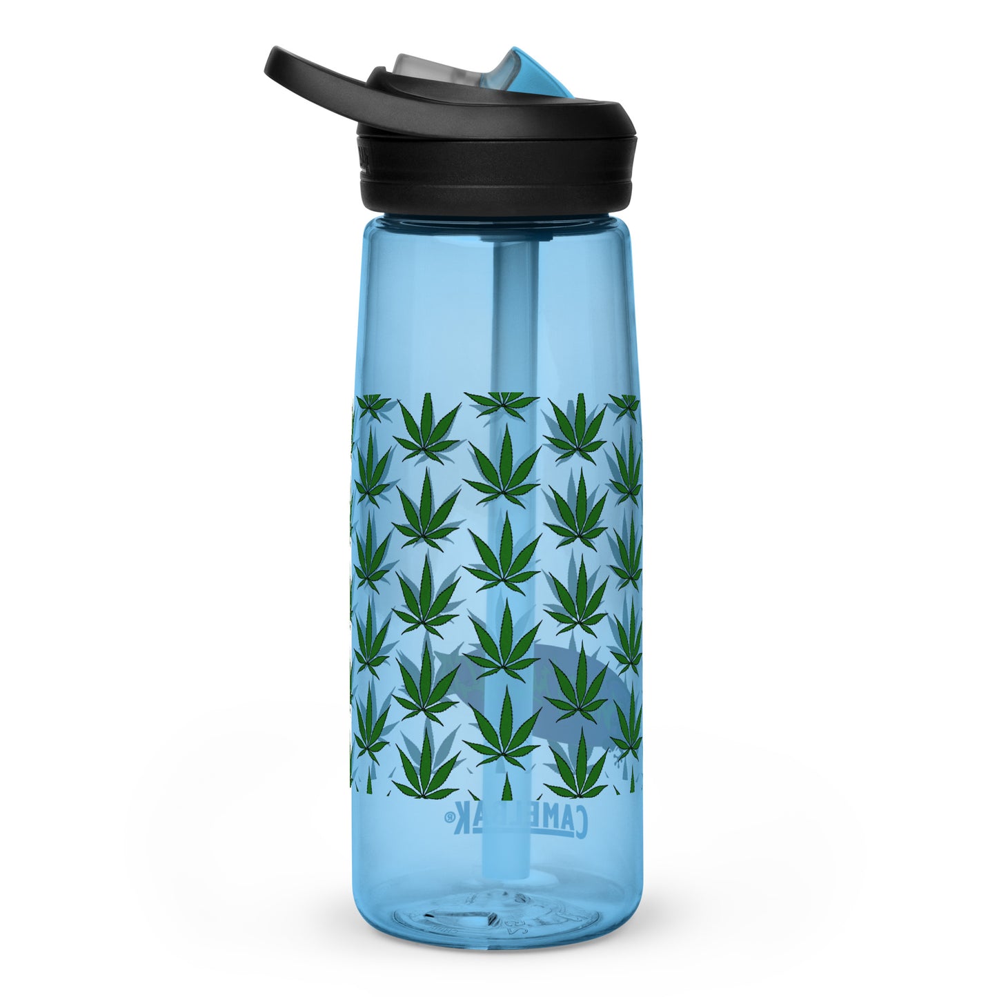 Sports water bottle