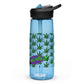 Sports water bottle