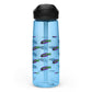 Sports water bottle