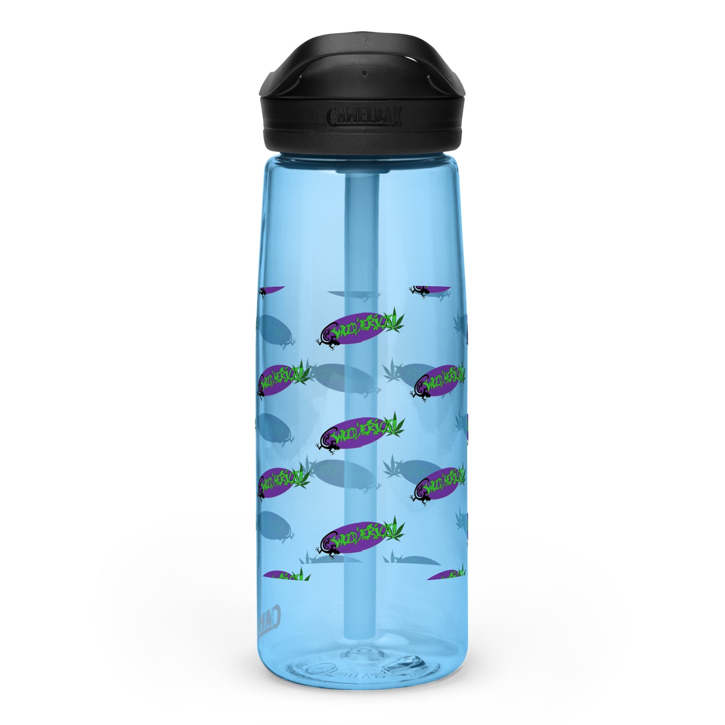 Sports water bottle