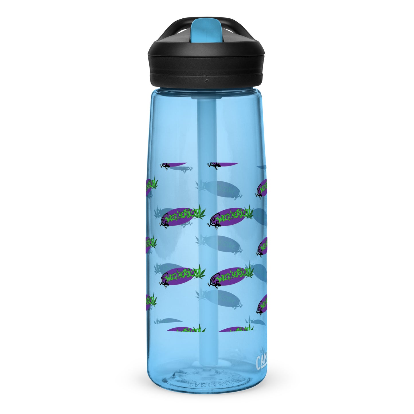 Sports water bottle