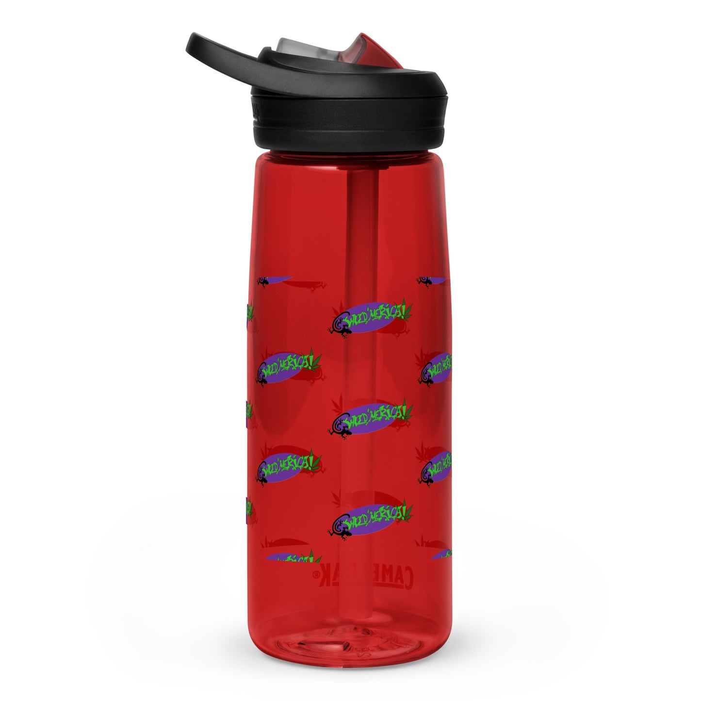 Sports water bottle