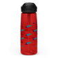 Sports water bottle