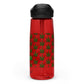 Sports water bottle