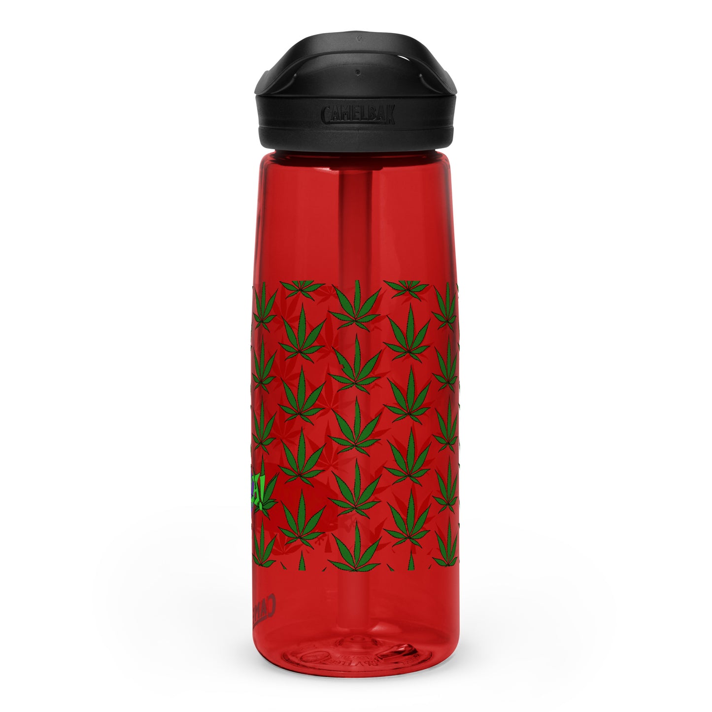 Sports water bottle