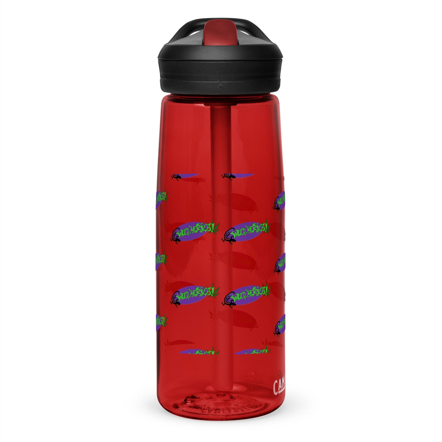 Sports water bottle