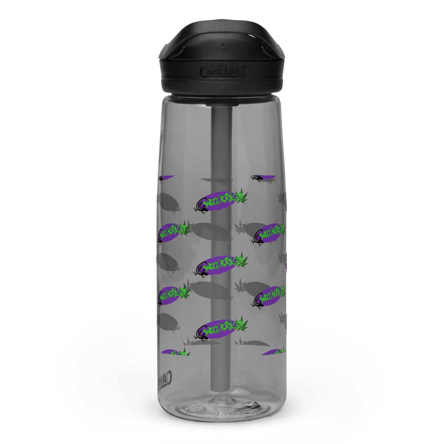 Sports water bottle