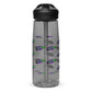 Sports water bottle