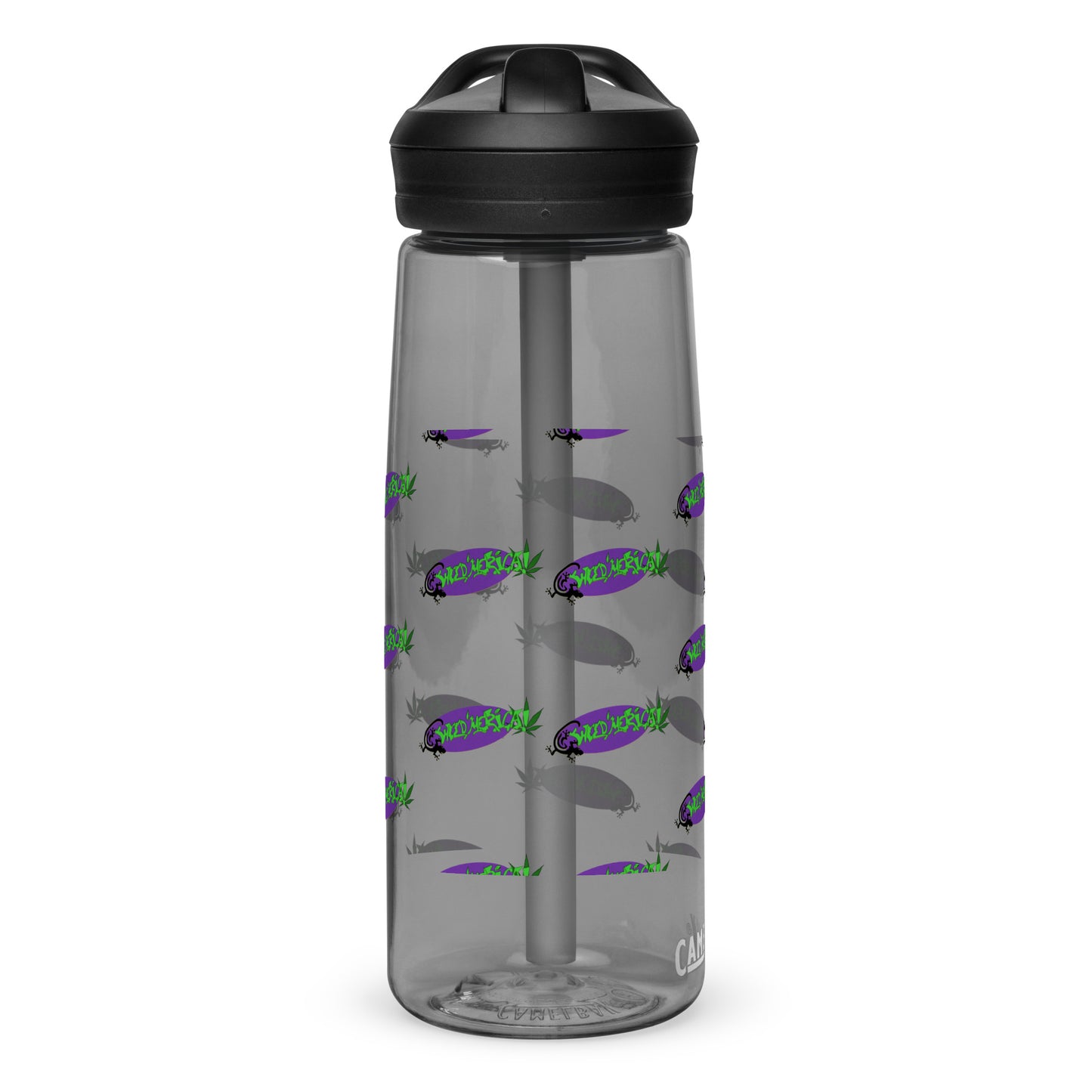 Sports water bottle