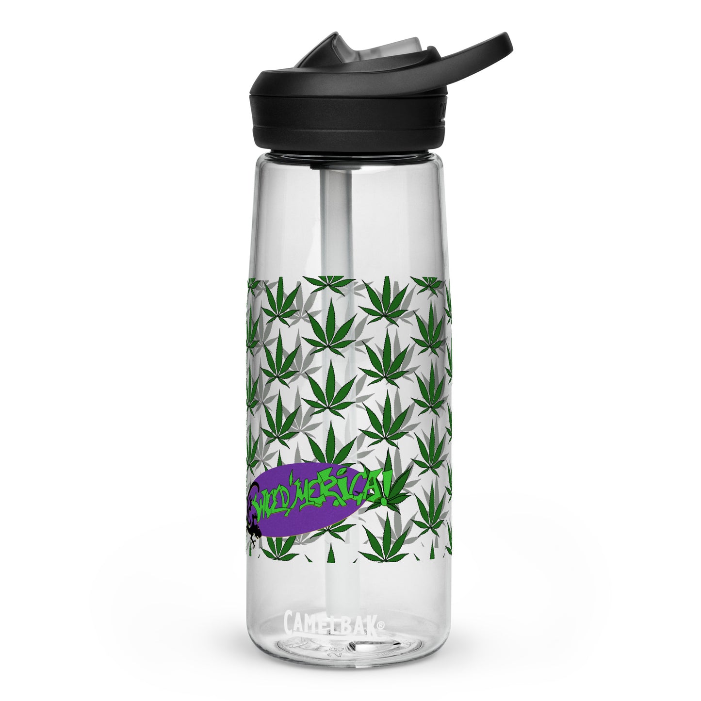 Sports water bottle