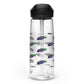 Sports water bottle