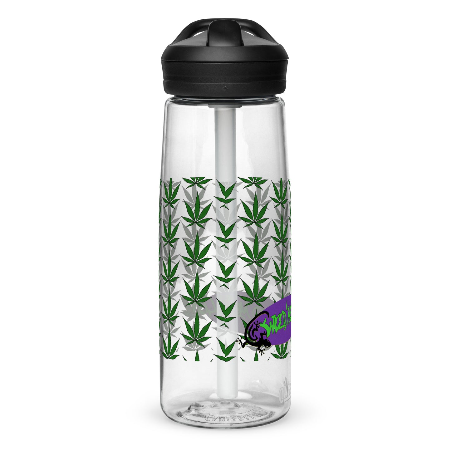 Sports water bottle