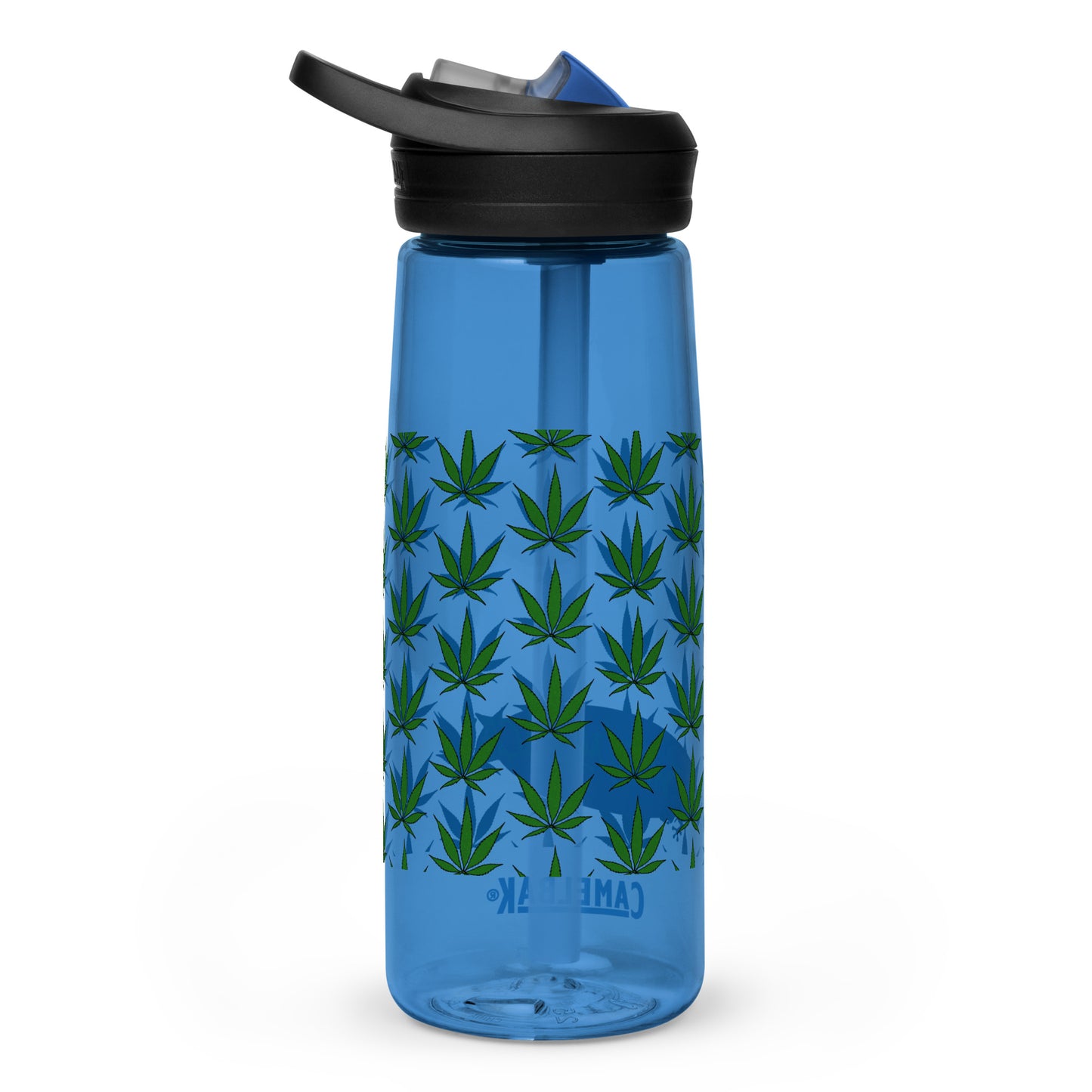 Sports water bottle