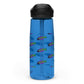 Sports water bottle