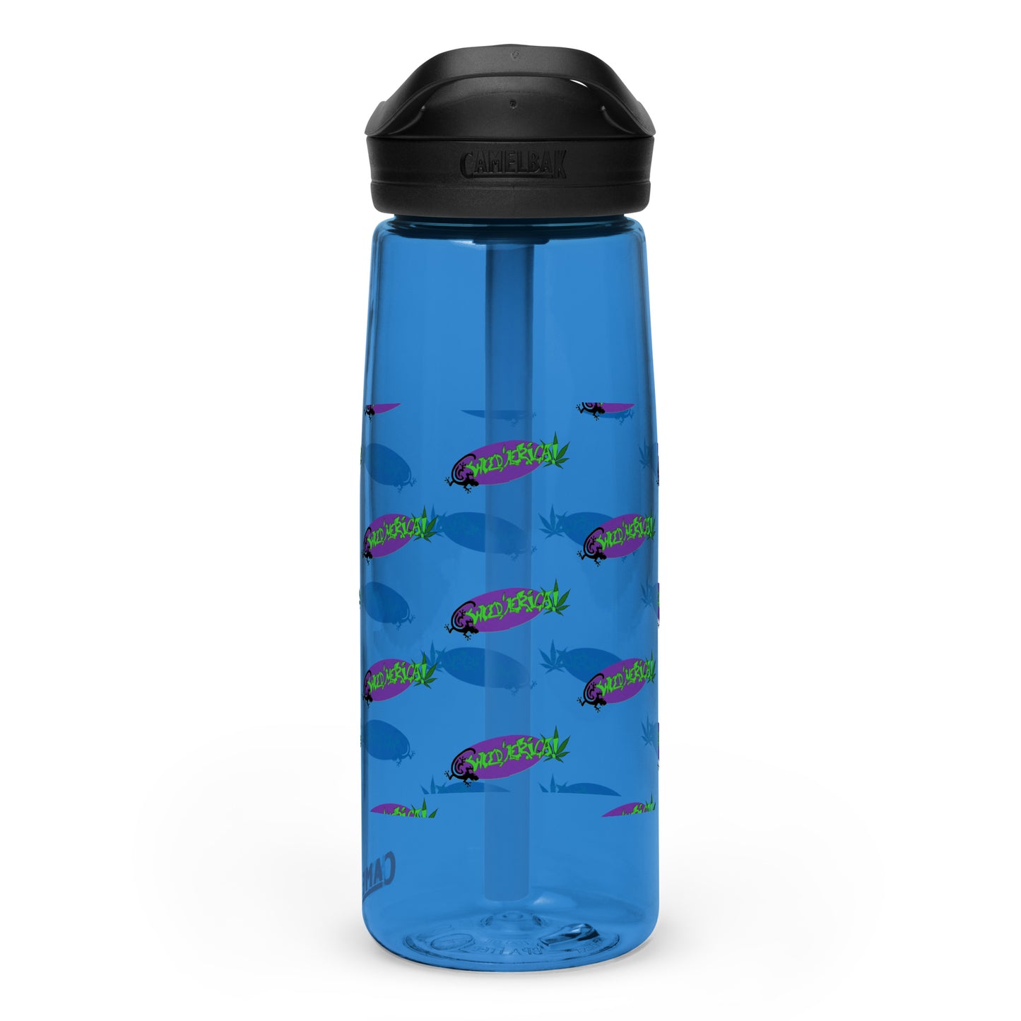 Sports water bottle