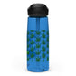 Sports water bottle