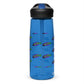 Sports water bottle