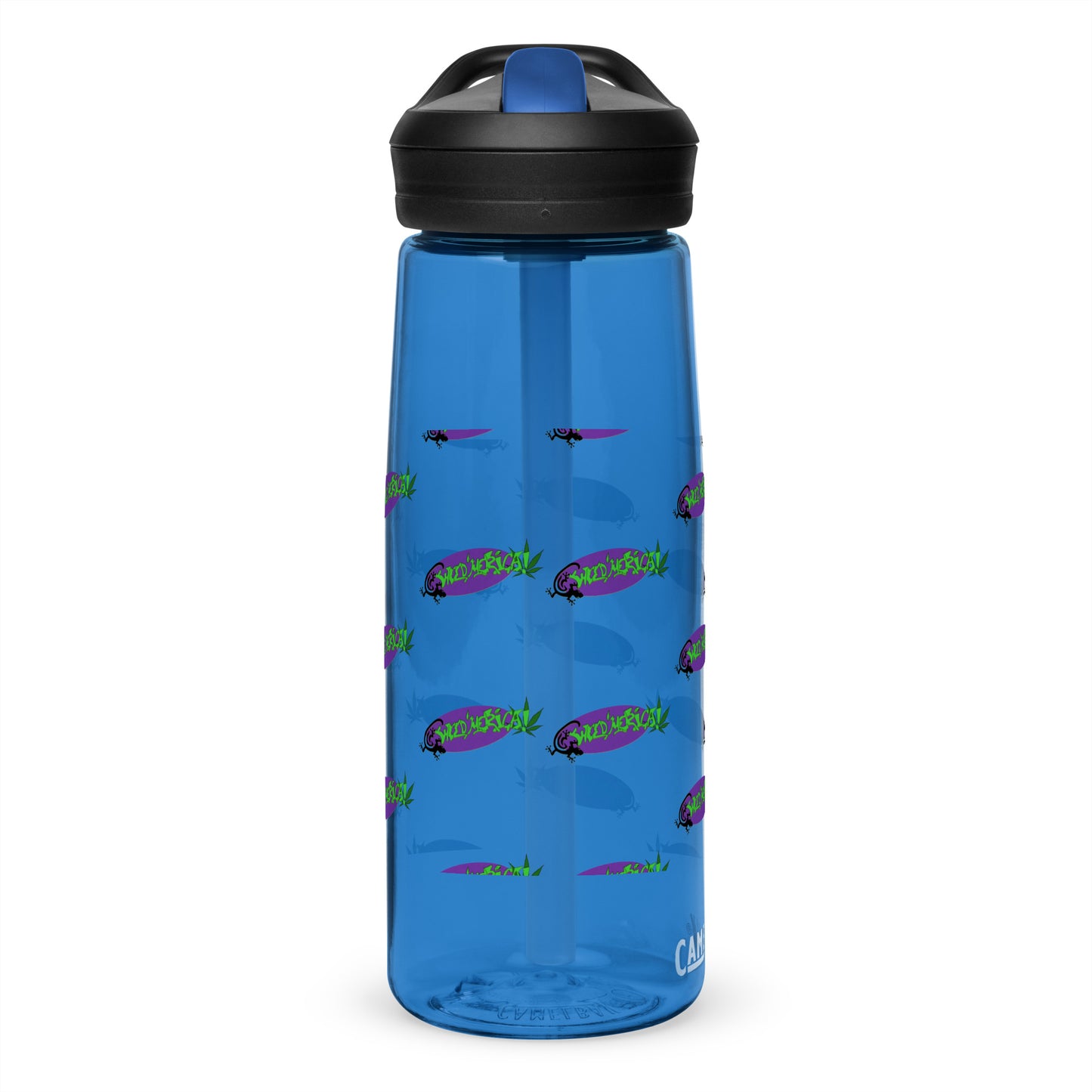 Sports water bottle